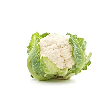 cauliflower (12)-1309440-27209.webp